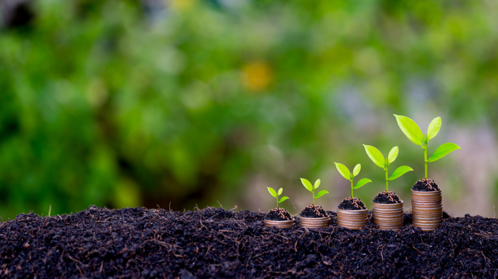 savings-growth-concept-plant-sprouting-from-the-ground